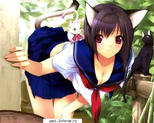 Neko! x3 - meow O////O *nosebleed* - Non-Yaoi Pics